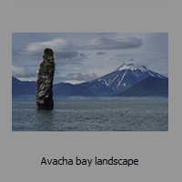 Avacha bay landscape